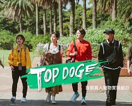 91九色视频《TOP DOG》免费在线观看