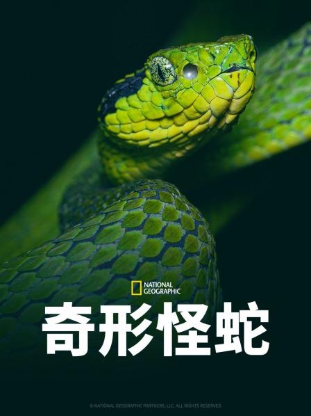 91亚色《奇形怪蛇》免费在线观看